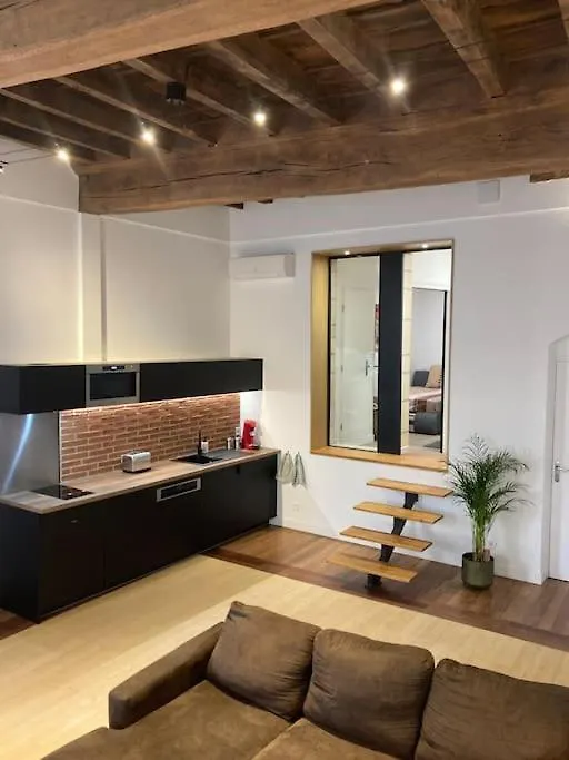 Appartement Centre Historique Albi France